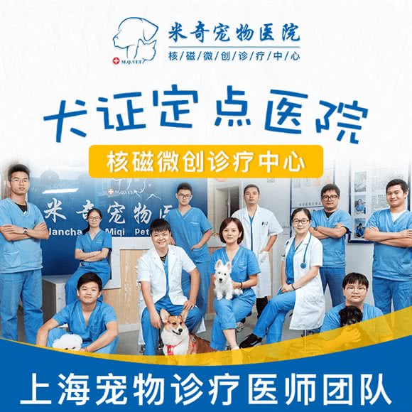 米奇宠物医院·核磁微创诊疗中心:南昌市红谷滩区丽景路附近