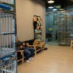 阿克宠物:南昌市红谷滩区联泰香域/熙梦里广场附近