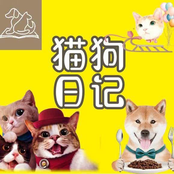 猫狗日记:南昌市红谷滩区南昌西站附近