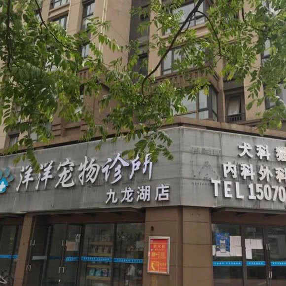 洋洋宠物医院(九龙湖店):南昌市红谷滩区南昌西站附近