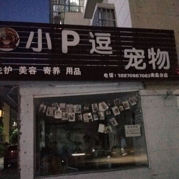 小P逗宠物(南昌分店):南昌市南昌县南昌县附近