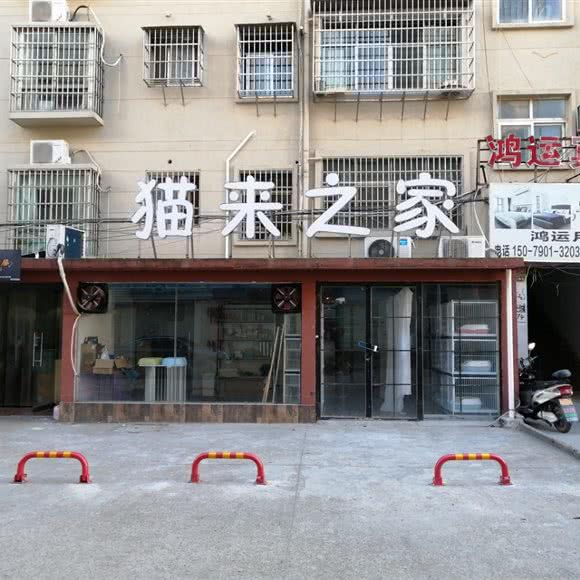 猫来之家:南昌市南昌县南昌县附近