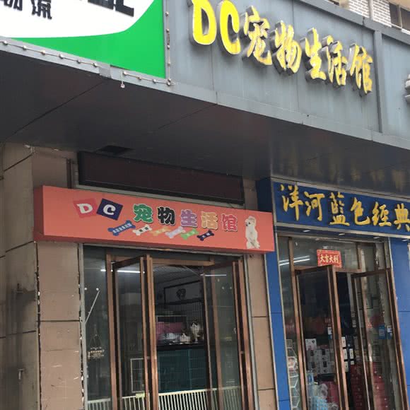 DC宠物狗生活馆:南昌市南昌县南昌县附近