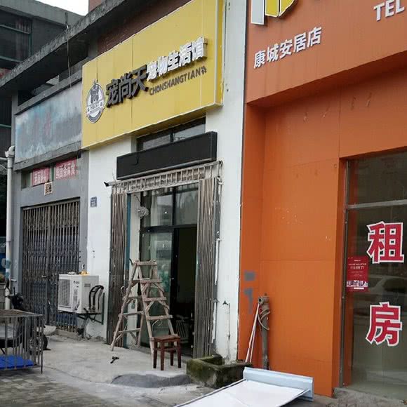 宠尚天宠物生活馆:南昌市南昌县南昌县附近