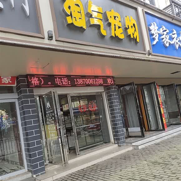 淘气宠物:南昌市南昌县南昌县附近