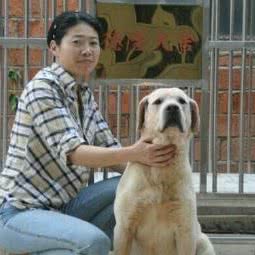 德隆犬舍:南昌市南昌县南昌县附近