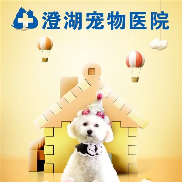 澄湖宠物医院:南昌市南昌县南昌县附近