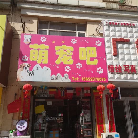 洋森萌宠吧:北京城区密云区密云镇附近