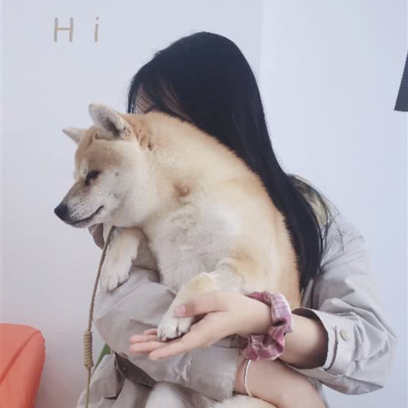 茗星汇宠物馆:北京城区密云区密云镇附近