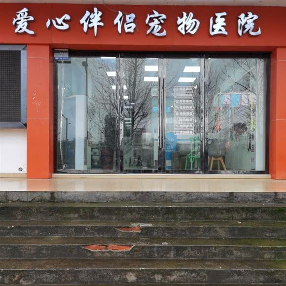 爱心伴侣宠物医院:景德镇市珠山区老陶院附近