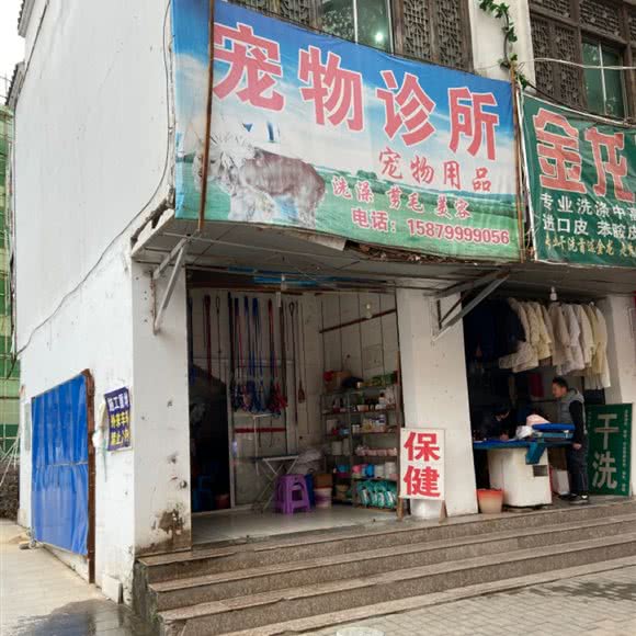 宠物诊所:景德镇市珠山区里村附近