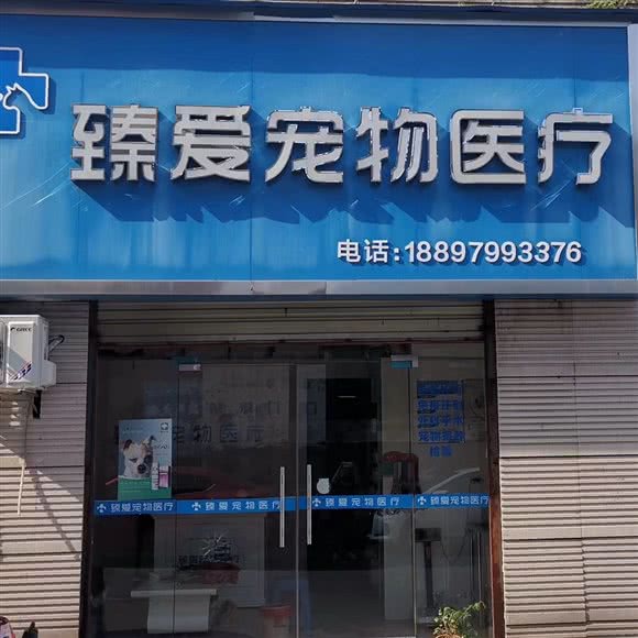 臻爱宠物医疗:萍乡市安源区绿茵广场附近