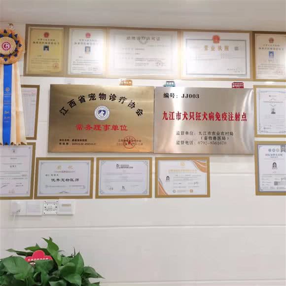 淼淼宠物医院:九江市浔阳区湖滨小区附近