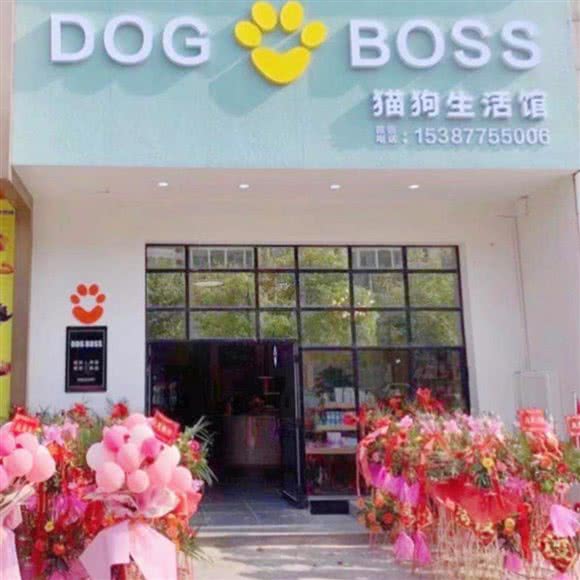DOG BOOS 宠物生活馆:九江市浔阳区职大附近