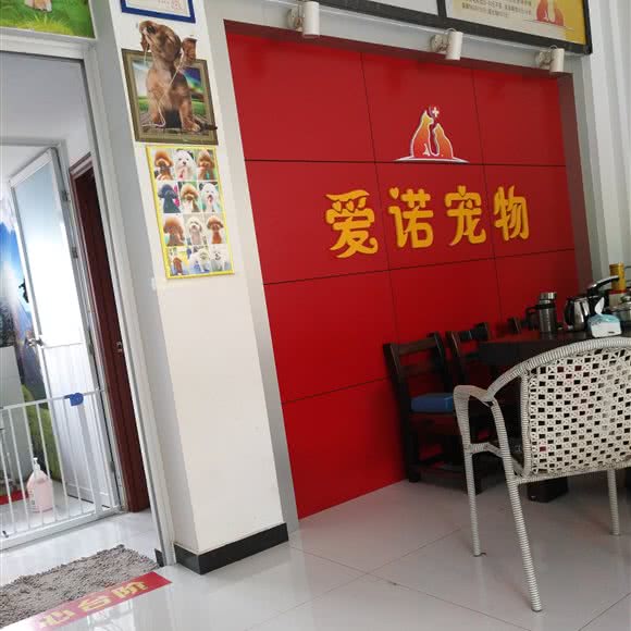 爱诺宠物:九江市浔阳区信华城市花园附近