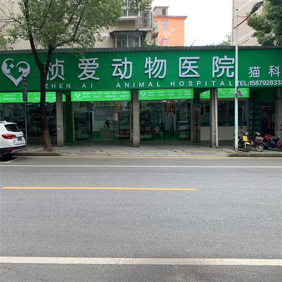 桢爱动物医院:九江市浔阳区南门湖/南湖公园附近