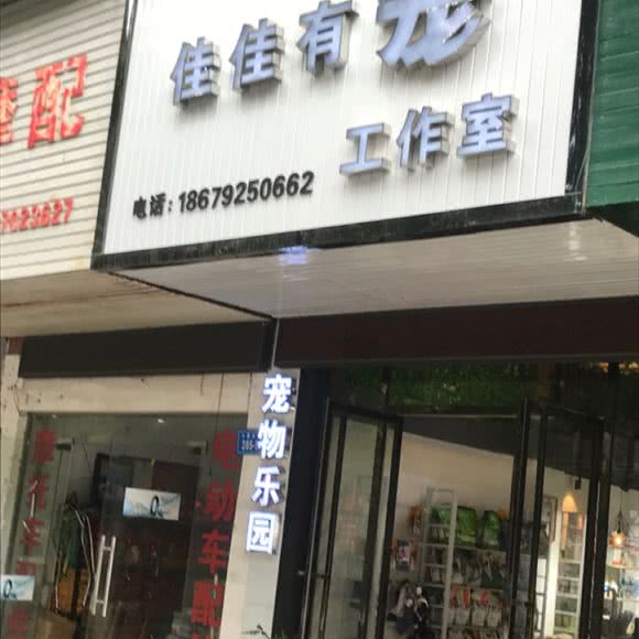 佳佳有宠工作室:九江市浔阳区经济开发区附近