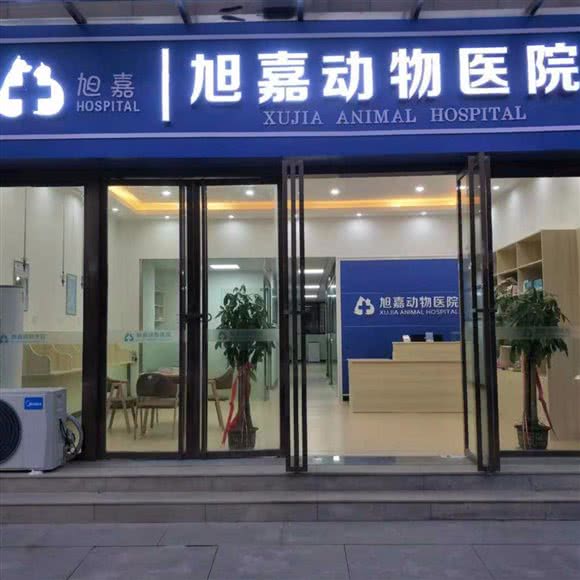 旭嘉宠物医院:九江市浔阳区经济开发区附近
