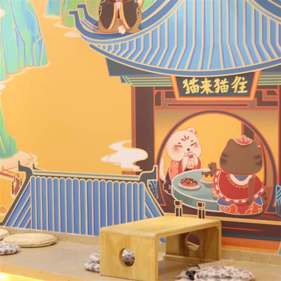 猫来猫往:九江市浔阳区九江快乐城附近