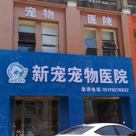 新宠宠物医院:九江市浔阳区九江快乐城附近