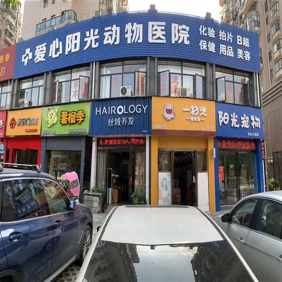 献爱心阳光动物医院:新余市渝水区太平洋购物中心附近