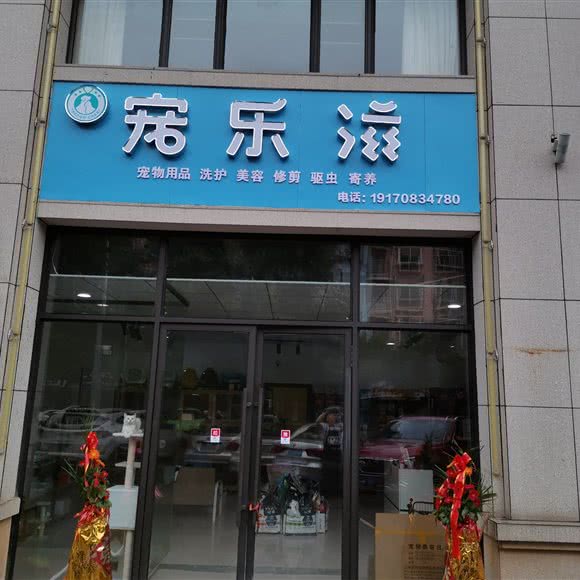 宠乐滋:鹰潭市月湖区月湖区中心/鹰潭站附近