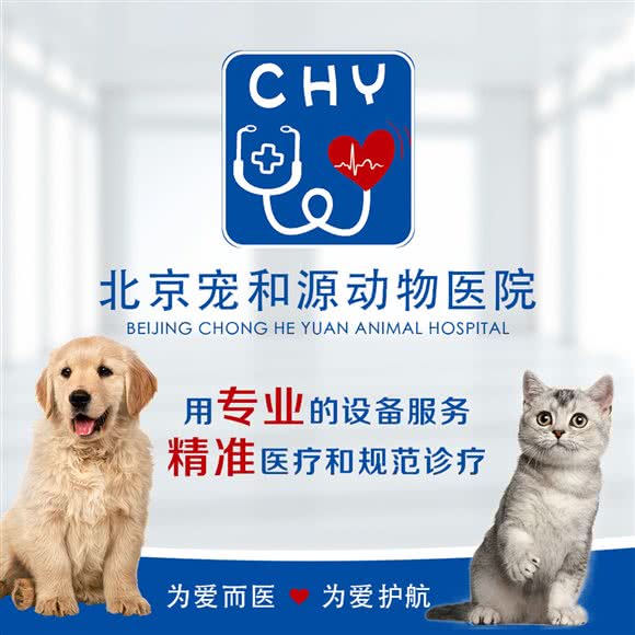 宠和源动物医院:北京城区朝阳区望京附近