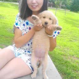 轩爱康宠物医院:北京城区密云区密云镇附近