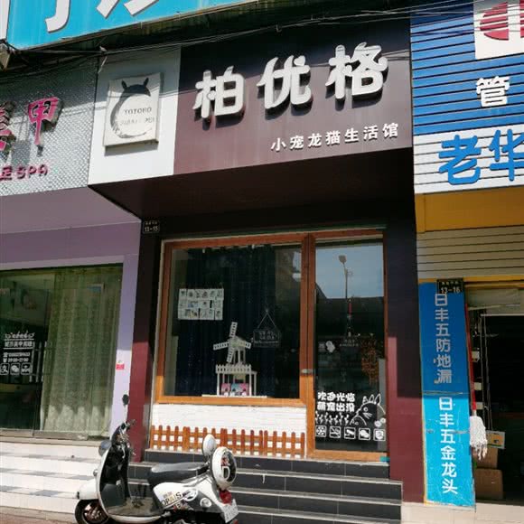 柏优格小宠龙猫生活馆:赣州市章贡区南门口附近