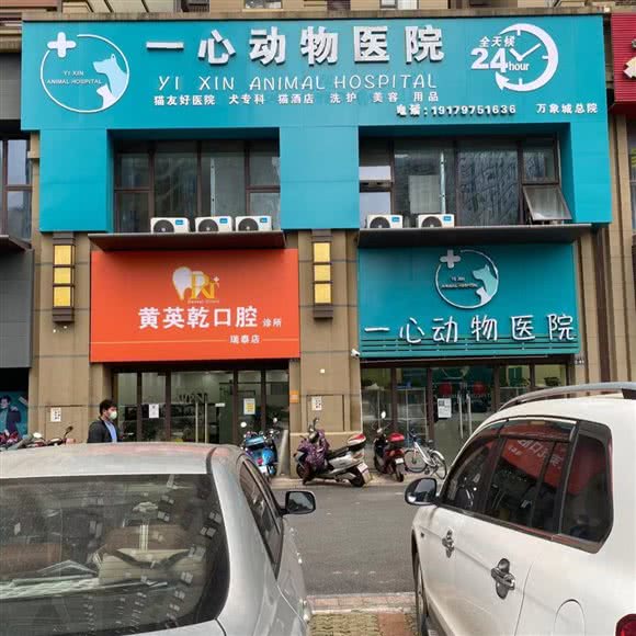 一心宠物医院(万象城总院):赣州市章贡区万象城附近