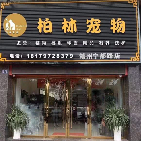 柏林宠物:赣州市章贡区万盛及体育中心附近