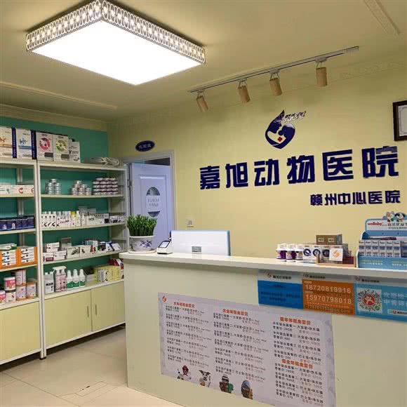 嘉旭宠物医院猫科动物:赣州市章贡区章江南/章江北附近