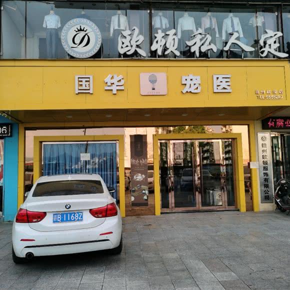 志成宠医:赣州市章贡区章江南/章江北附近