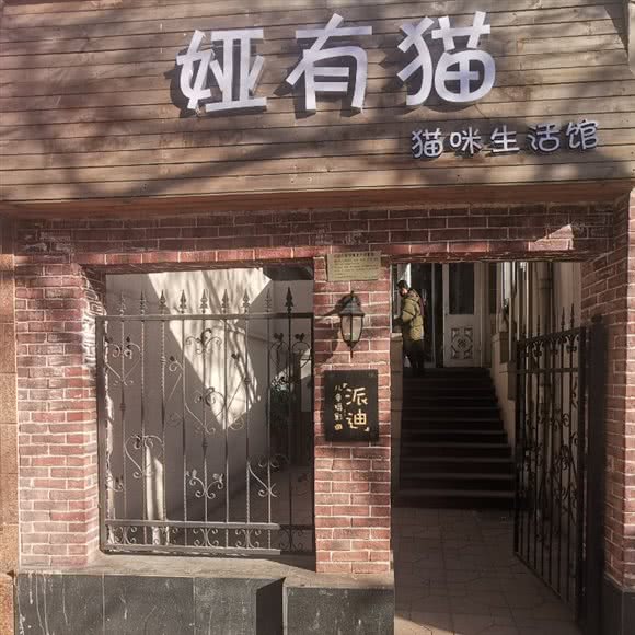 娅有猫猫咪生活馆:天津城区和平区滨江道附近