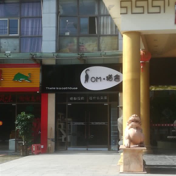 OM·猫舍:赣州市龙南市龙南市附近