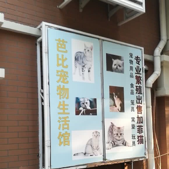 芭比宠物生活馆:天津城区和平区滨江道附近