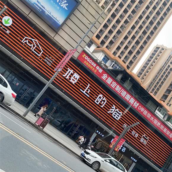 楼上的猫猫咖:宜春市袁州区润达国际附近