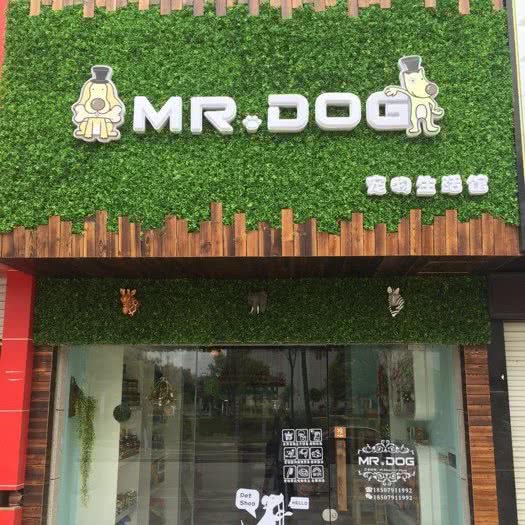 MR.DOG宠物生活馆:抚州市临川区赣东大道沿线附近