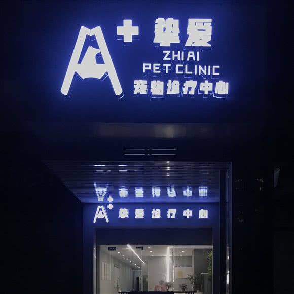 A+挚爱宠物医院:抚州市临川区赣东大道沿线附近