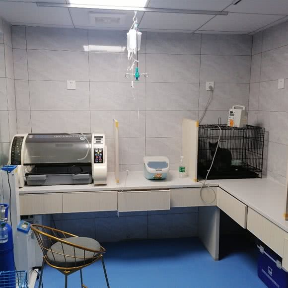 博大动物诊所:上饶市信州区万达广场附近