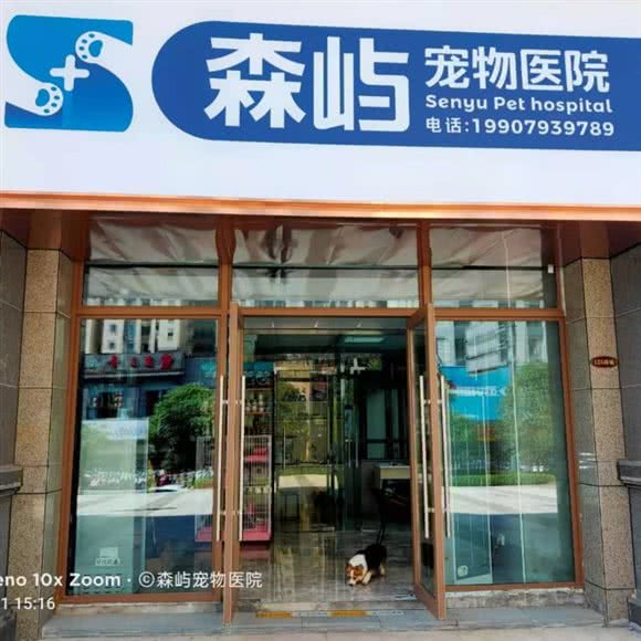 森屿宠物医院:上饶市信州区万达广场附近
