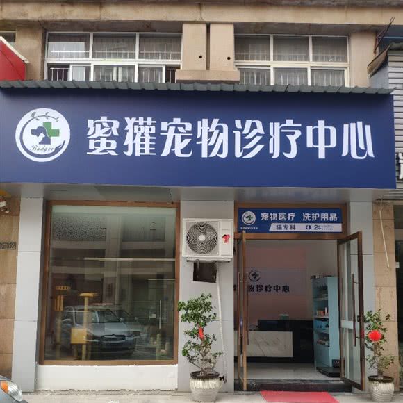 蜜獾宠物诊疗中心·猫专科:上饶市信州区商贸城附近