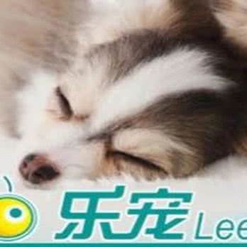 乐宠:济南市历下区泉城广场/银座新天地附近