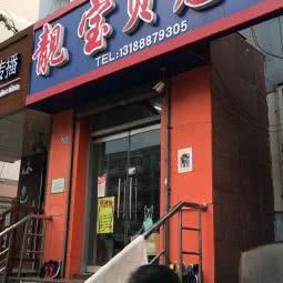 靓宝贝宠物:济南市历下区燕山地区附近