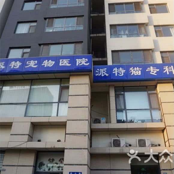 派特宠物医院:济南市历下区燕山地区附近