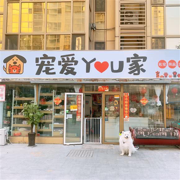 宠爱You家:济南市历下区山师地区/历下大润发附近