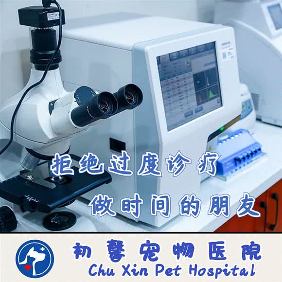 初馨宠物医院(高新店):济南市历下区奥体中心附近