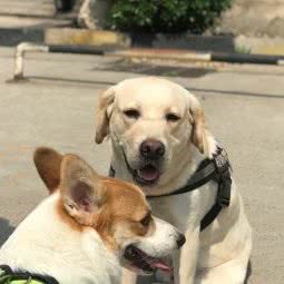 阿猫阿狗咖啡店:济南市历下区解放路附近