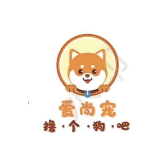 爱尚宠·宠咖:天津城区和平区和平路附近