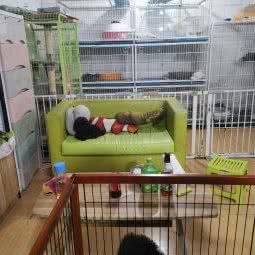 毛孩乐园宠物生活馆:济南市历下区解放路附近